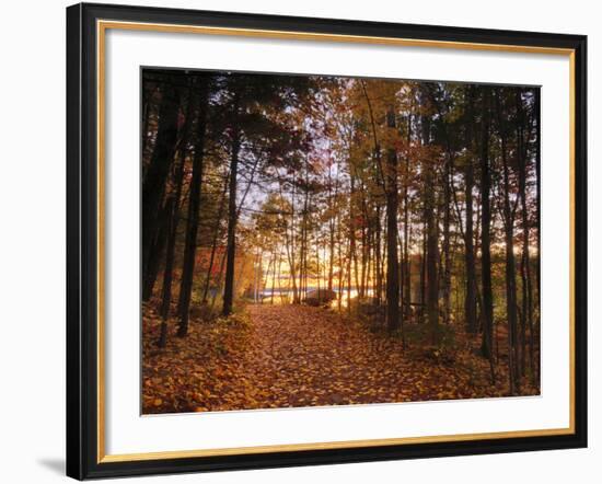 Lake Millinocket at Sunrise, Baxter State Park, Maine, New England, USA, North America-Alan Copson-Framed Photographic Print