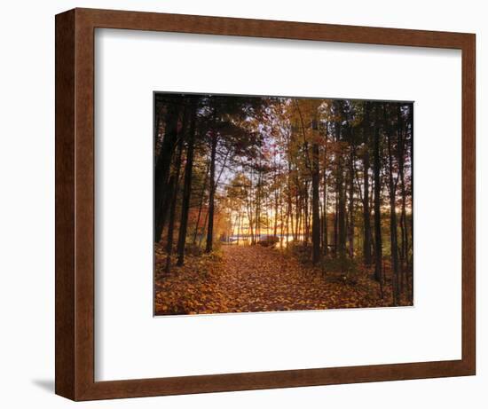 Lake Millinocket at Sunrise, Baxter State Park, Maine, New England, USA, North America-Alan Copson-Framed Photographic Print