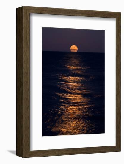 Lake Moonrise-Steve Gadomski-Framed Photographic Print