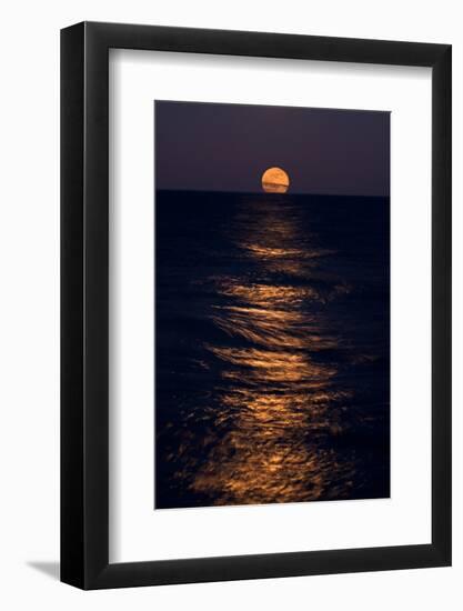 Lake Moonrise-Steve Gadomski-Framed Photographic Print