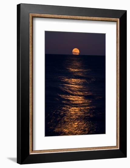 Lake Moonrise-Steve Gadomski-Framed Photographic Print