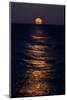 Lake Moonrise-Steve Gadomski-Mounted Photographic Print