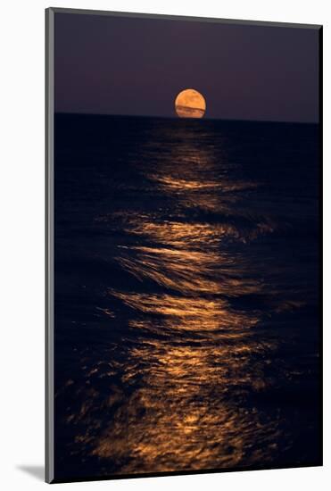 Lake Moonrise-Steve Gadomski-Mounted Photographic Print