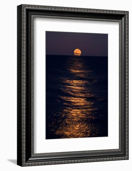 Lake Moonrise-Steve Gadomski-Framed Photographic Print