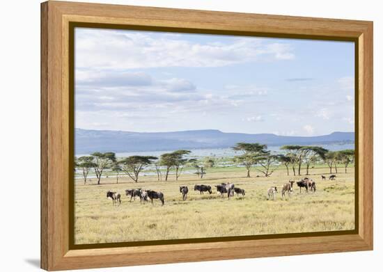 Lake Naivasha and Crescent Island Game Park, Naivasha, Kenya-Martin Zwick-Framed Premier Image Canvas
