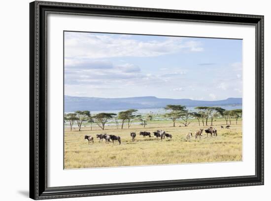 Lake Naivasha and Crescent Island Game Park, Naivasha, Kenya-Martin Zwick-Framed Photographic Print