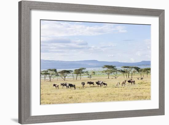 Lake Naivasha and Crescent Island Game Park, Naivasha, Kenya-Martin Zwick-Framed Photographic Print