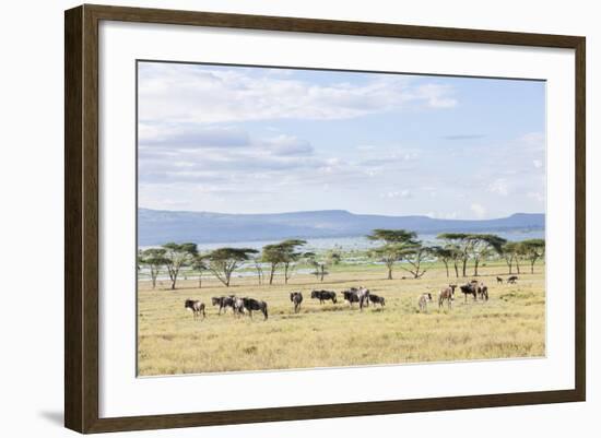 Lake Naivasha and Crescent Island Game Park, Naivasha, Kenya-Martin Zwick-Framed Photographic Print