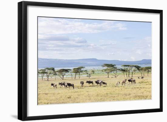 Lake Naivasha and Crescent Island Game Park, Naivasha, Kenya-Martin Zwick-Framed Photographic Print