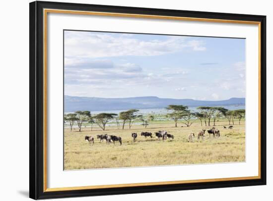 Lake Naivasha and Crescent Island Game Park, Naivasha, Kenya-Martin Zwick-Framed Photographic Print