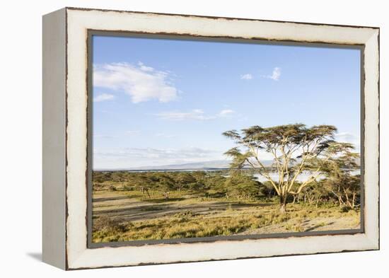 Lake Naivasha and Crescent Island Game Park, Naivasha, Kenya-Martin Zwick-Framed Premier Image Canvas