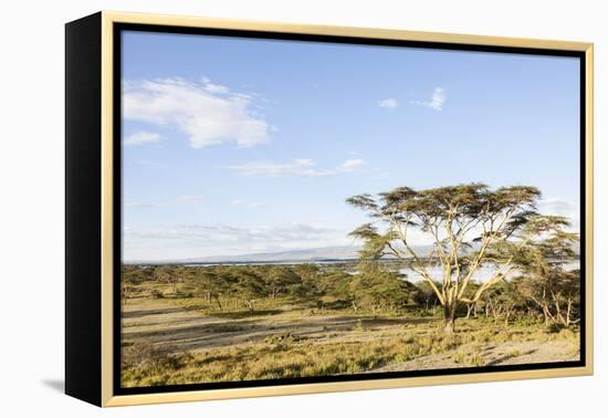 Lake Naivasha and Crescent Island Game Park, Naivasha, Kenya-Martin Zwick-Framed Premier Image Canvas