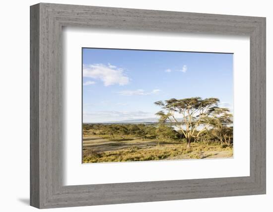 Lake Naivasha and Crescent Island Game Park, Naivasha, Kenya-Martin Zwick-Framed Photographic Print