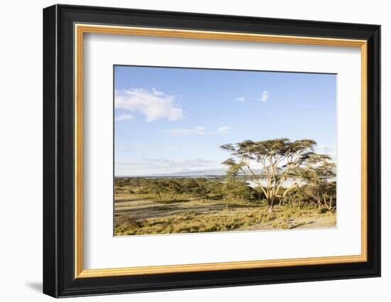 Lake Naivasha and Crescent Island Game Park, Naivasha, Kenya-Martin Zwick-Framed Photographic Print