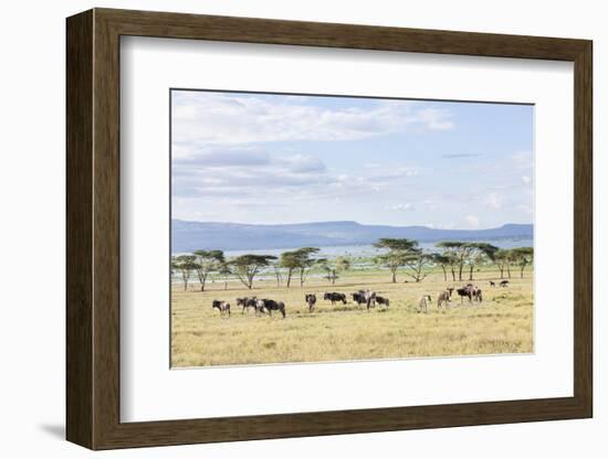 Lake Naivasha and Crescent Island Game Park, Naivasha, Kenya-Martin Zwick-Framed Photographic Print