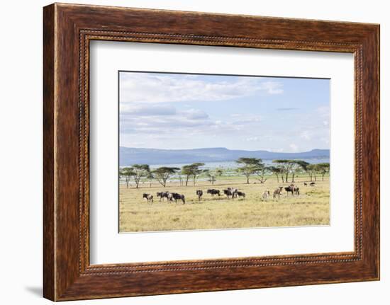 Lake Naivasha and Crescent Island Game Park, Naivasha, Kenya-Martin Zwick-Framed Photographic Print