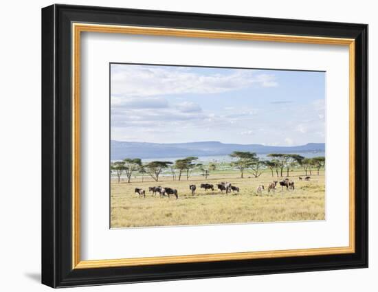 Lake Naivasha and Crescent Island Game Park, Naivasha, Kenya-Martin Zwick-Framed Photographic Print