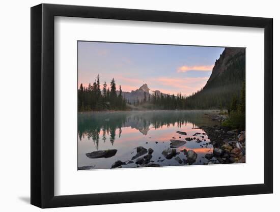 Lake O'hara and Cathedral Mountain at Sunrise, Yoho National Park, Canada-Lijuan Guo-Framed Photographic Print