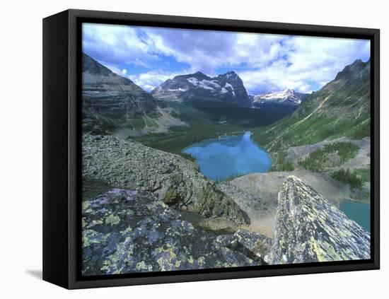 Lake O'Hara, Yoho National Park, British Columbia, Canada-Rob Tilley-Framed Premier Image Canvas