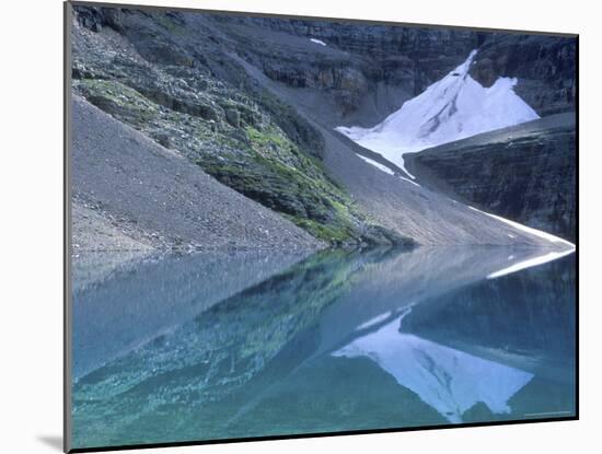 Lake Oesa, Yoho National Park, British Columbia, Canada-Rob Tilley-Mounted Photographic Print