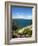 Lake of Bolsena, View from Capodimonte, Viterbo, Lazio, Italy, Europe-Tondini Nico-Framed Photographic Print