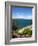 Lake of Bolsena, View from Capodimonte, Viterbo, Lazio, Italy, Europe-Tondini Nico-Framed Photographic Print