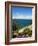 Lake of Bolsena, View from Capodimonte, Viterbo, Lazio, Italy, Europe-Tondini Nico-Framed Photographic Print