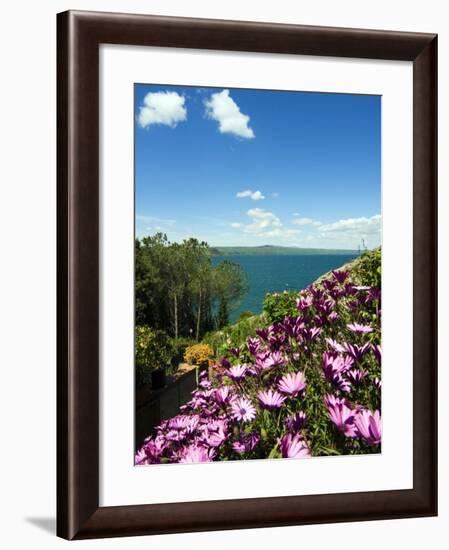 Lake of Bolsena, View from Capodimonte, Viterbo, Lazio, Italy, Europe-Tondini Nico-Framed Photographic Print