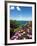 Lake of Bolsena, View from Capodimonte, Viterbo, Lazio, Italy, Europe-Tondini Nico-Framed Photographic Print