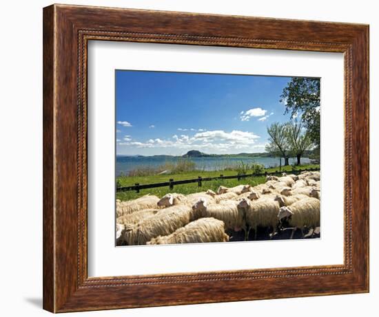 Lake of Bolsena, View from San Magno Area, Viterbo, Latium, Italy-Nico Tondini-Framed Photographic Print