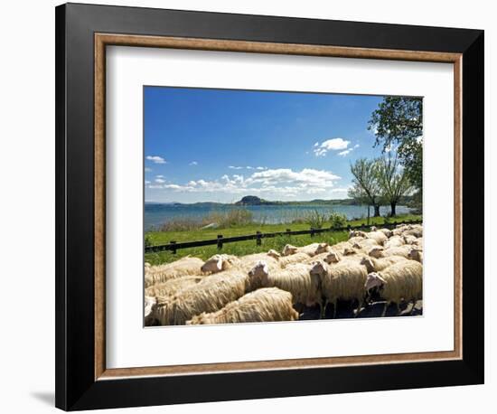 Lake of Bolsena, View from San Magno Area, Viterbo, Latium, Italy-Nico Tondini-Framed Photographic Print