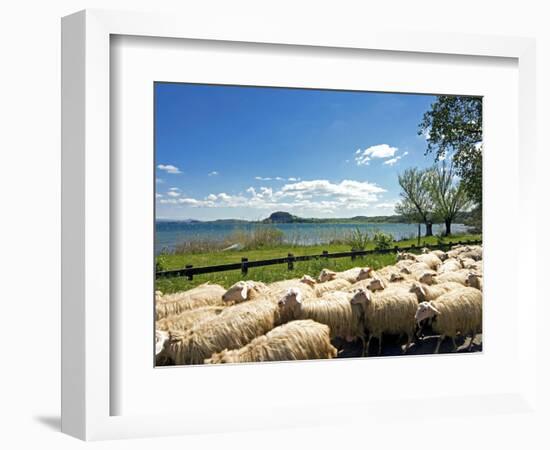 Lake of Bolsena, View from San Magno Area, Viterbo, Latium, Italy-Nico Tondini-Framed Photographic Print