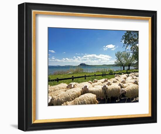 Lake of Bolsena, View from San Magno Area, Viterbo, Latium, Italy-Nico Tondini-Framed Photographic Print