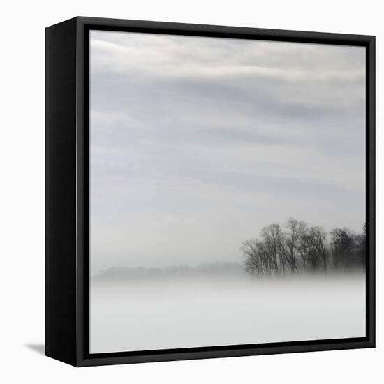 Lake of Fog-Nicholas Bell-Framed Premier Image Canvas