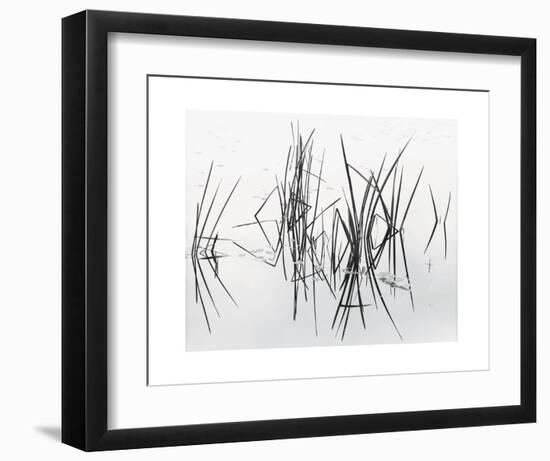 Lake of Two Rivers-Andrew Ren-Framed Art Print