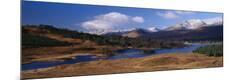 Photographic Print