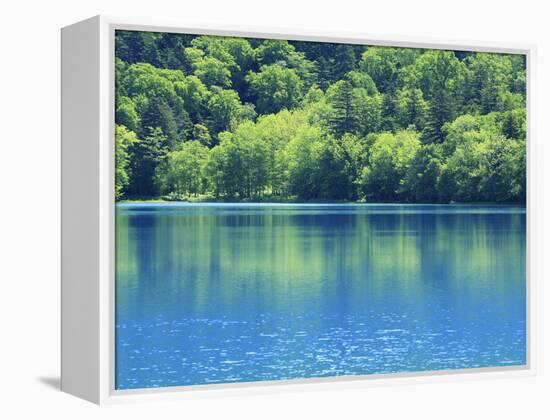 Lake Onneto-null-Framed Premier Image Canvas