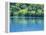 Lake Onneto-null-Framed Premier Image Canvas