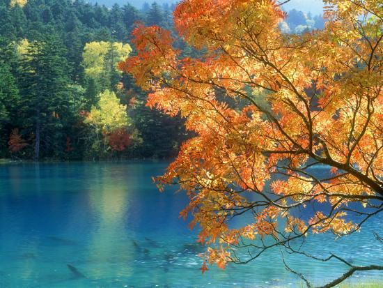 Premium Photographic Print, , large