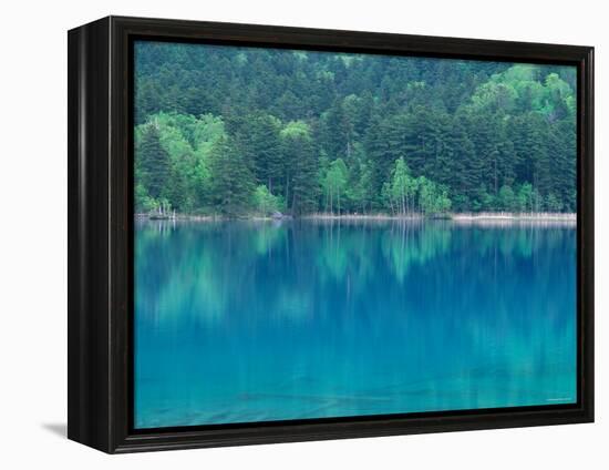 Lake Onneto-null-Framed Premier Image Canvas