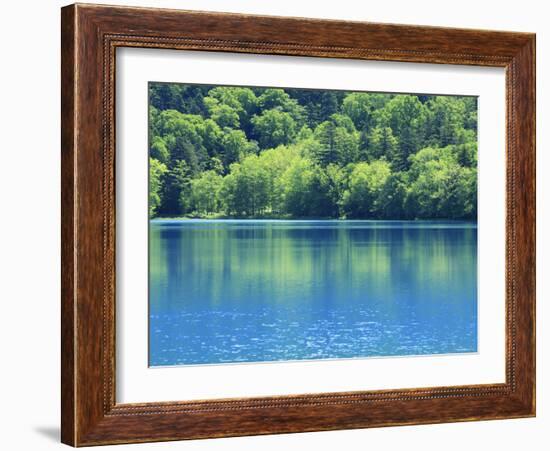 Lake Onneto-null-Framed Photographic Print