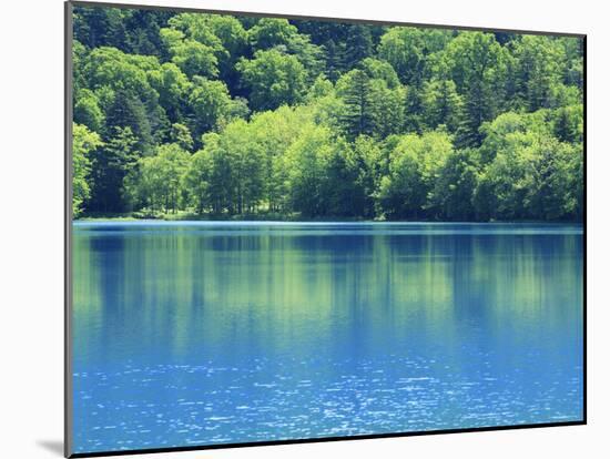 Lake Onneto-null-Mounted Photographic Print