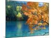 Photographic Print