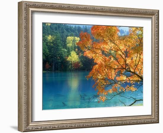 Lake Onneto-null-Framed Photographic Print