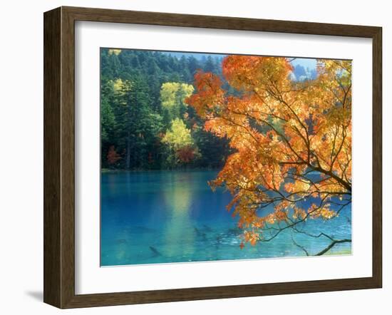 Lake Onneto-null-Framed Photographic Print