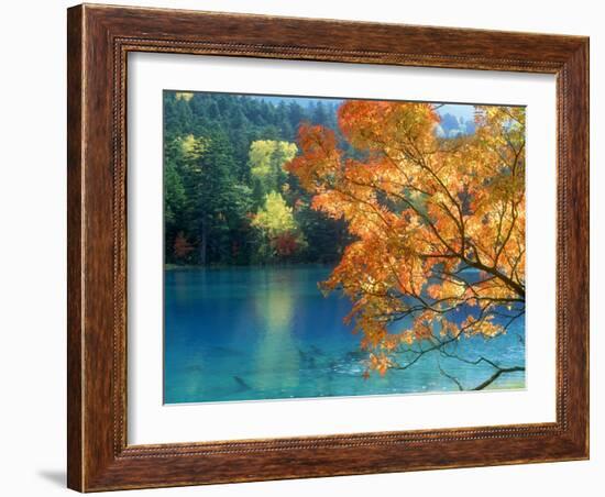 Lake Onneto-null-Framed Photographic Print