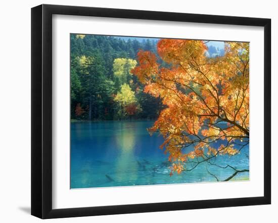 Lake Onneto-null-Framed Photographic Print