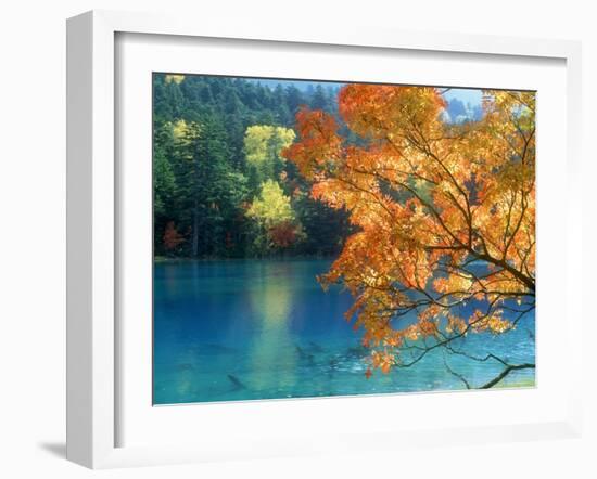 Lake Onneto-null-Framed Photographic Print