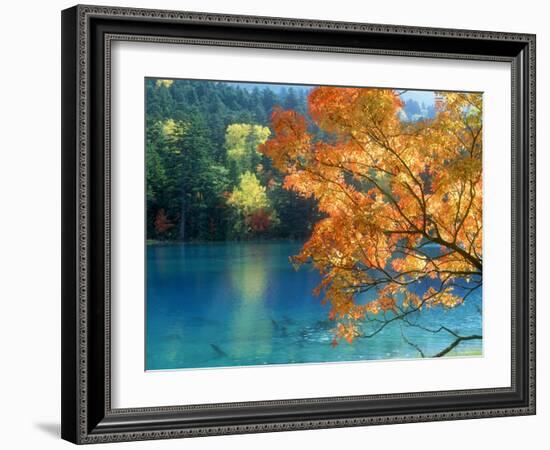 Lake Onneto-null-Framed Photographic Print