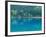 Lake Onneto-null-Framed Photographic Print